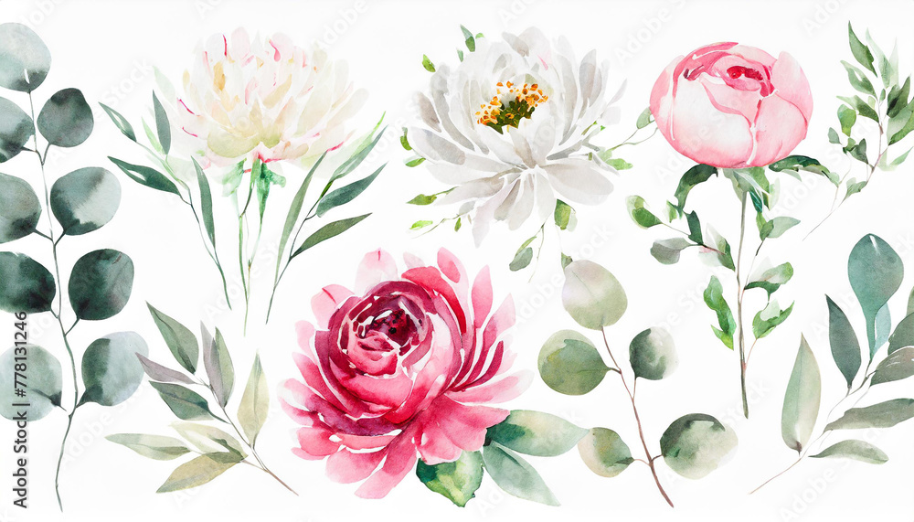 pink Watercolour floral illustration set. White flowers, green leaves individual elements collection. Rose, peony, eucalyptus, chamomile. For wedding invitations, anniversary, birthday, prints