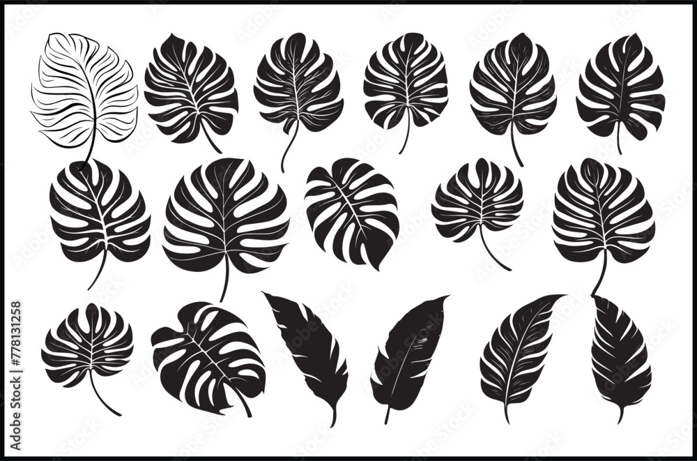 Fototapeta premium Summer décor, Tropical vibes, Leaf silhouette, Palm leaf art, Banana leaf design, Botanical prints, Nature-inspired decor, Summer foliage, Tropical home accents, Coastal living, Beach house decor,