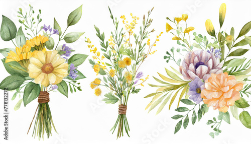 watercolor arrangements with flowers, set, bundle, bouquets with wildflowers, leaves, branches. Botanical illustration