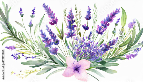 watercolor arrangements with flowers lavender. bouquets with wildflowers  leaves  branches. Botanic wallpaper