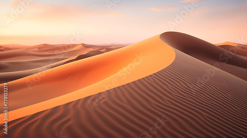 Rippling sand dunes in a vast desert, their curvatures highlighted by the setting sun. photo