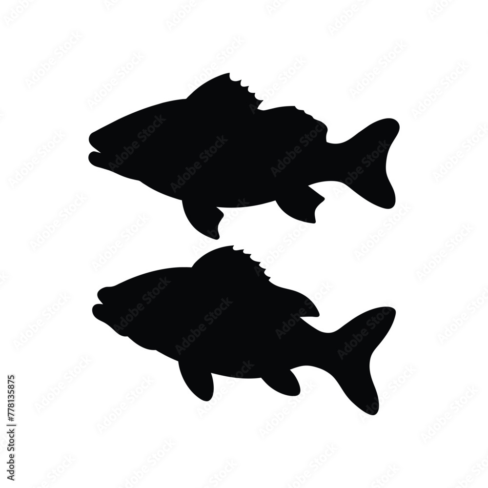 silhouette of bass fish on white silhouette of bass fish on white