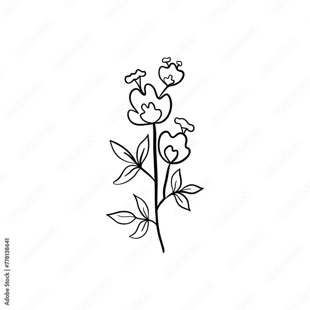 Botanical linear leaf. Abstract minimalist leaves collection, creative herbal art. Vector illustration Botanical linear leaf. Abstract minimalist leaves collection, creative herbal art. Vector illustration