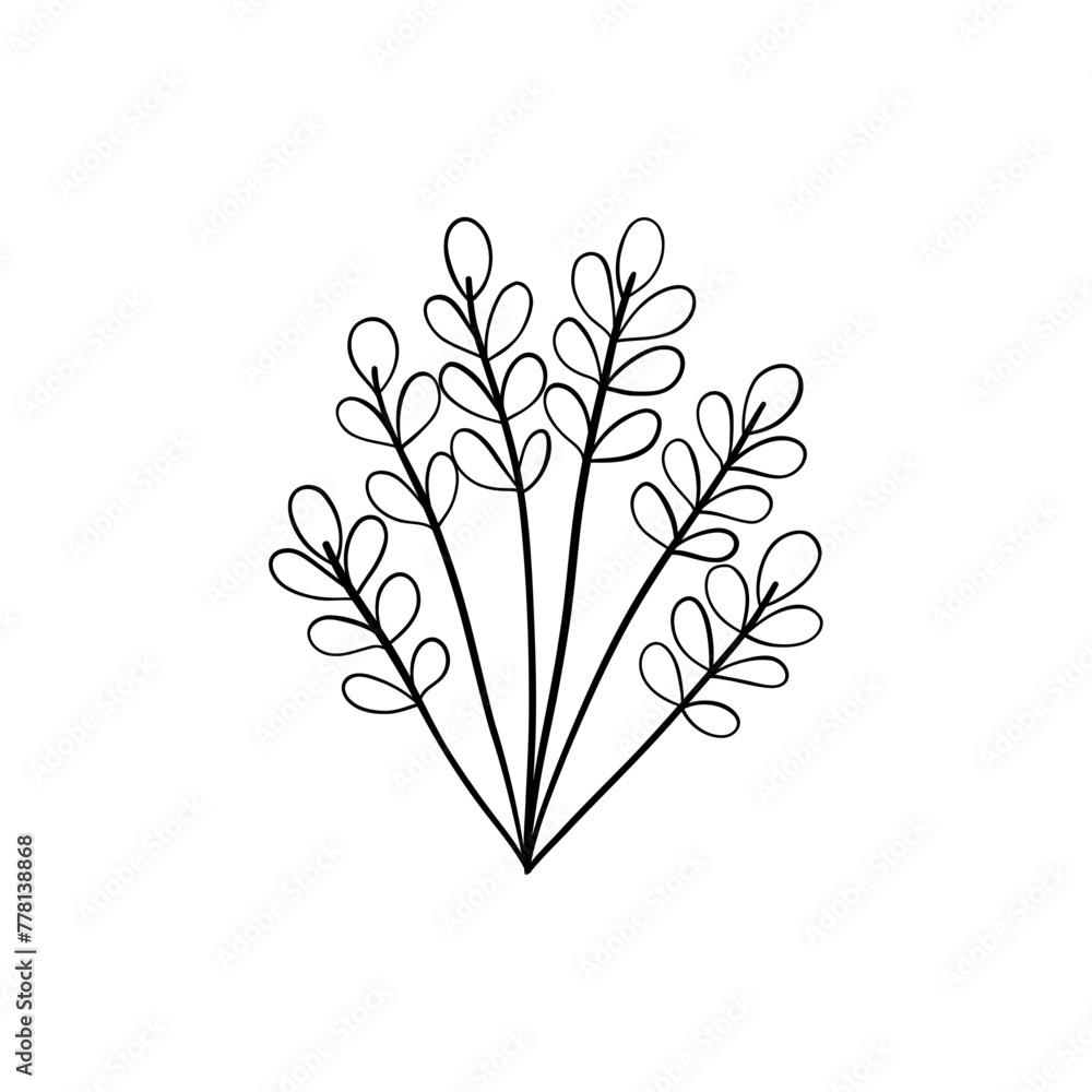 Botanical linear leaf. Abstract minimalist leaves collection, creative herbal art. Vector illustration Botanical linear leaf. Abstract minimalist leaves collection, creative herbal art. Vector illustration