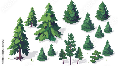 Isometric pine tree design Flat vector isolated on white © Aliha