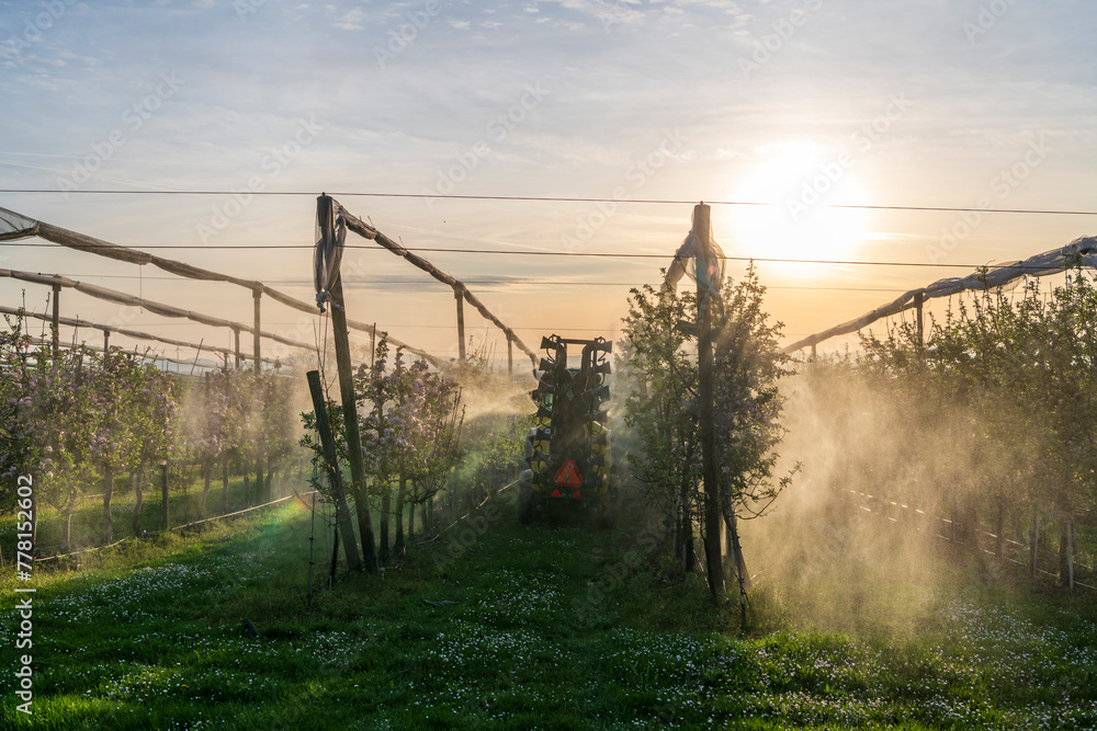 Obraz premium Tractor with crop protection