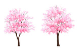 Vector watercolor blooming flower tree or forest side view isolated on white background for landscape and architecture drawing,elements for environment or and garden,Sakura tree for section 