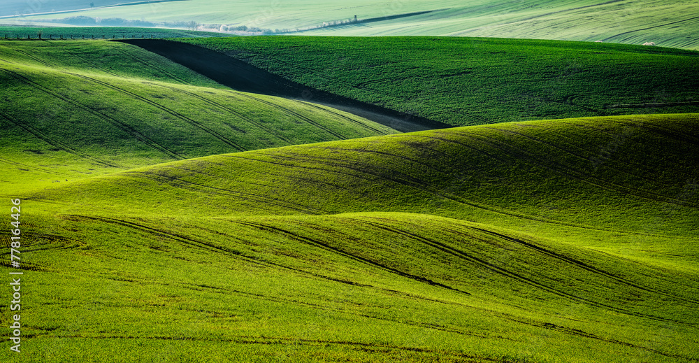 Fototapeta premium Moravia, spring, field, landscape, biobelts, ribbon,