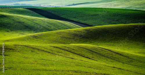 Moravia, spring, field, landscape, biobelts, ribbon, © Petr