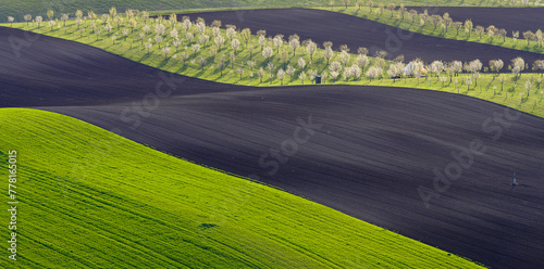 Moravia, spring, field, landscape, biobelts, ribbon,