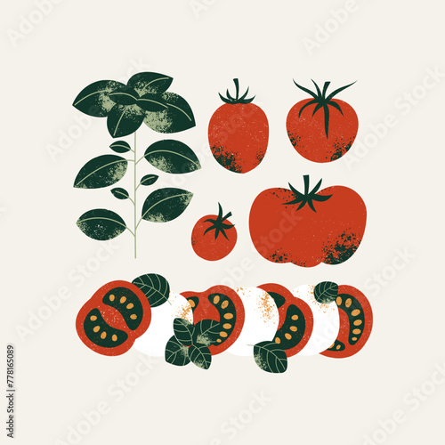 Caprese ingredients. Fresh tomatoes with basil and mozzarella cheese. Vector illustration