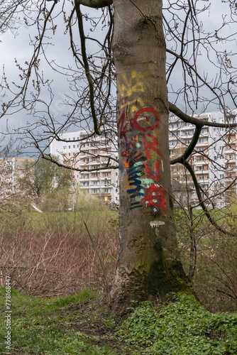 Graffiti an einem Baum in Zwickau photo