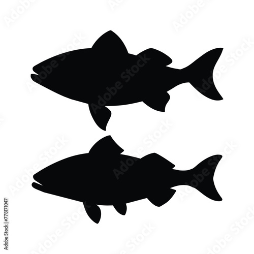 silhouette of  haddock fish on white