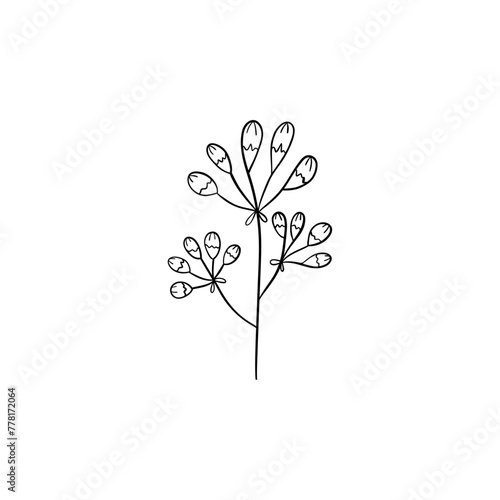 Botanical linear leaf. Abstract minimalist leaves collection  creative herbal art. Vector illustration