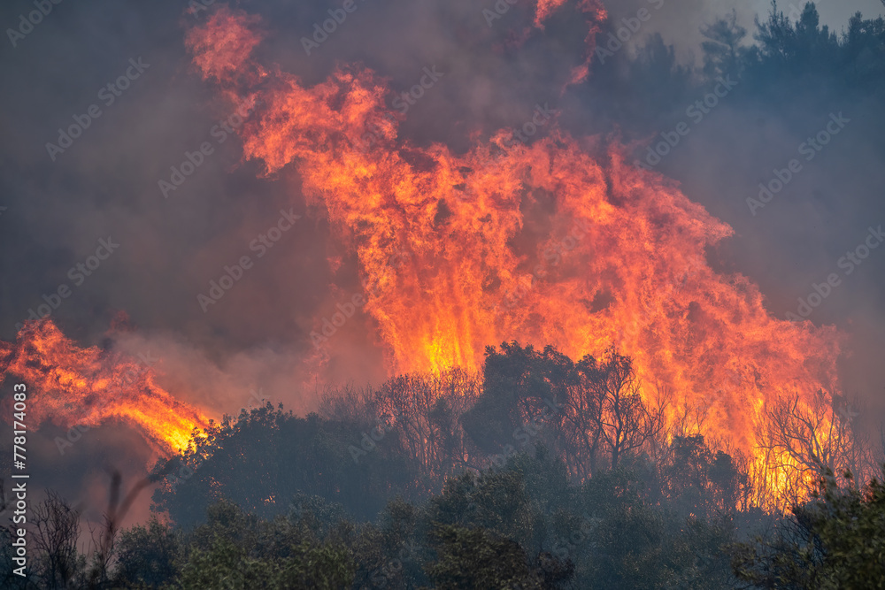 Forest fires in the prefecture of Evros in northern Greece in the biggest fire ever in Europe Forest fires in the prefecture of Evros in northern Greece in the biggest fire ever in Europe