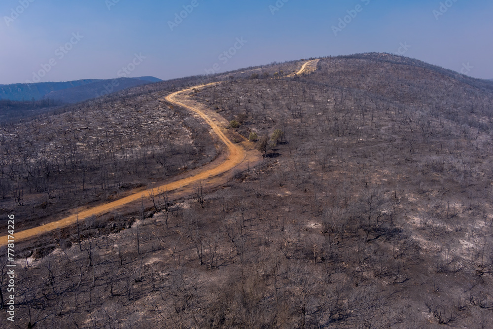 Aerial view shows a burnt area after a fire in Evros prefecture in northern Greece Aerial view shows a burnt area after a fire in Evros prefecture in northern Greece