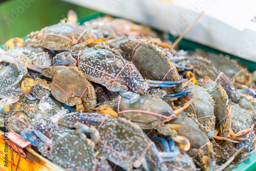 Blue swimmer crabs, Sea crab, Fresh sea crabs in a fishery seafood market