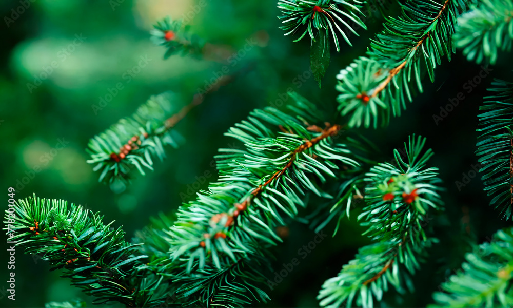 Close-up of evergreen pine needles with vivid green hues. Perfect for seasonal themes, nature blogs, and eco-friendly projects.
