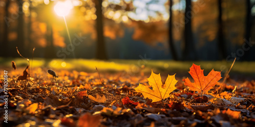 Wallpaper Mural Lucky tips against the autumn blues сreated with Generative Ai Torontodigital.ca