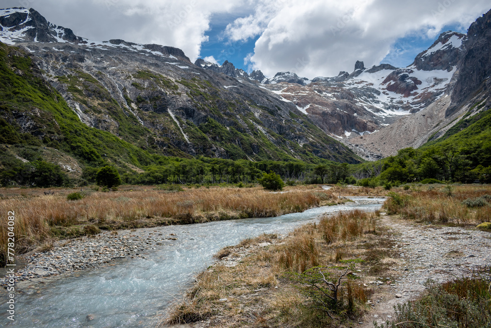 Vistas de los bosques patagónicos y arroyos, en los alrededores de El Chalten, en la Patagonia Argentina
