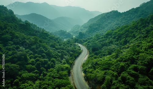 A highway in the middle of a green forest, beautiful scenic view, relaxing, created with AI