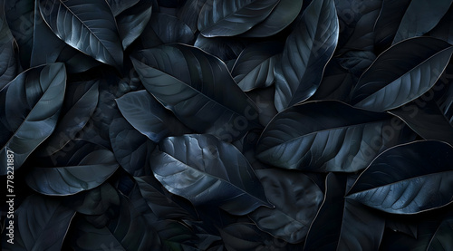 Top View Abstract Black Leaves Texture  Dark Nature Background