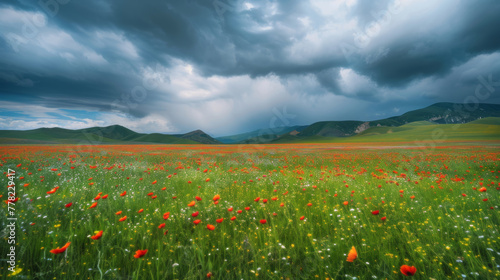 A bright field of colorful flowers in an awesome stormy sky in a style that merges dark, foreboding colors, dark orange and dark cyan tones.