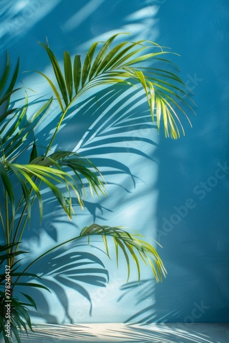 Tropical Shadows on Textured Wall