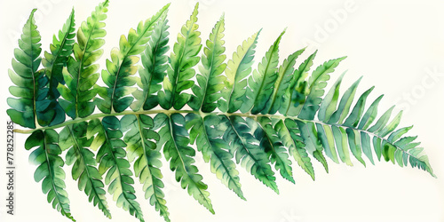 Watercolor clipart of a single, verdant fern spore, isolate on white background A capsule of potential, holding the blueprint of ancient forests