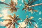 tropical background with palm tree
