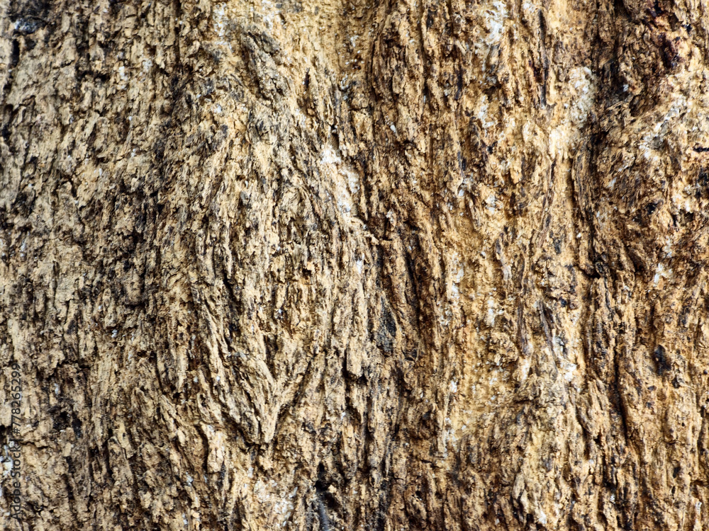 Obraz premium The surface of the bark of perennial trees is cream to brown, sometimes dark, sometimes light. There are wood grains or objects raised or attached to the surface