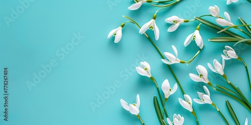 Spring mood of snowdrops on a delicate blue background