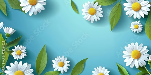 Pale chamomile flowers with green leaves on a blue background