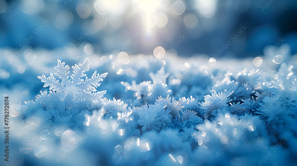 Hoarfrost in Nature Hoarfrost in Nature