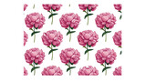 Pionies floral pattern print vector illustration