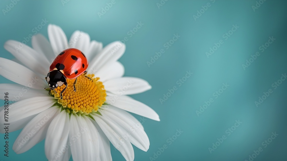 Ladybug on a Daisy Flower - Serene Nature Scene Captured in a close-up. Perfect for Spring Themes and Environmental Concepts. AI