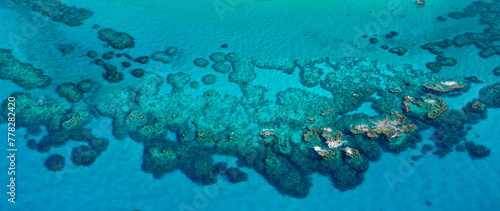 Fototapeta Naklejka Na Ścianę i Meble -  Coral reef next to the tropical paradise island of Bermuda