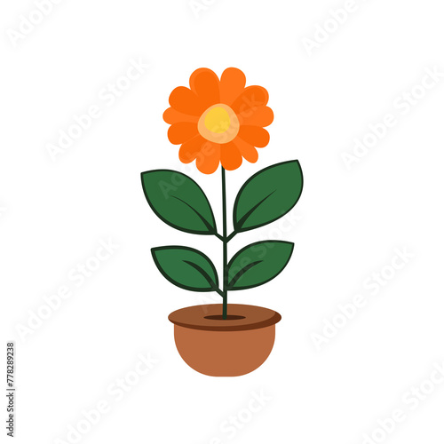 Flowers in pot on transparent background.