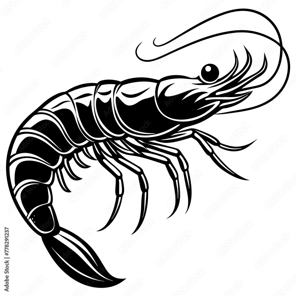 Shrimp vector illustration.
Shrimp vector illustration.