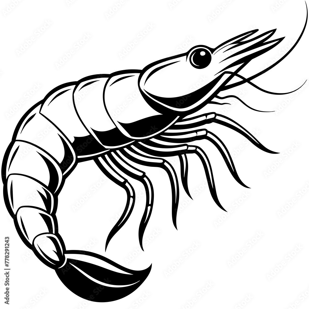 Shrimp vector illustration.
Shrimp vector illustration.