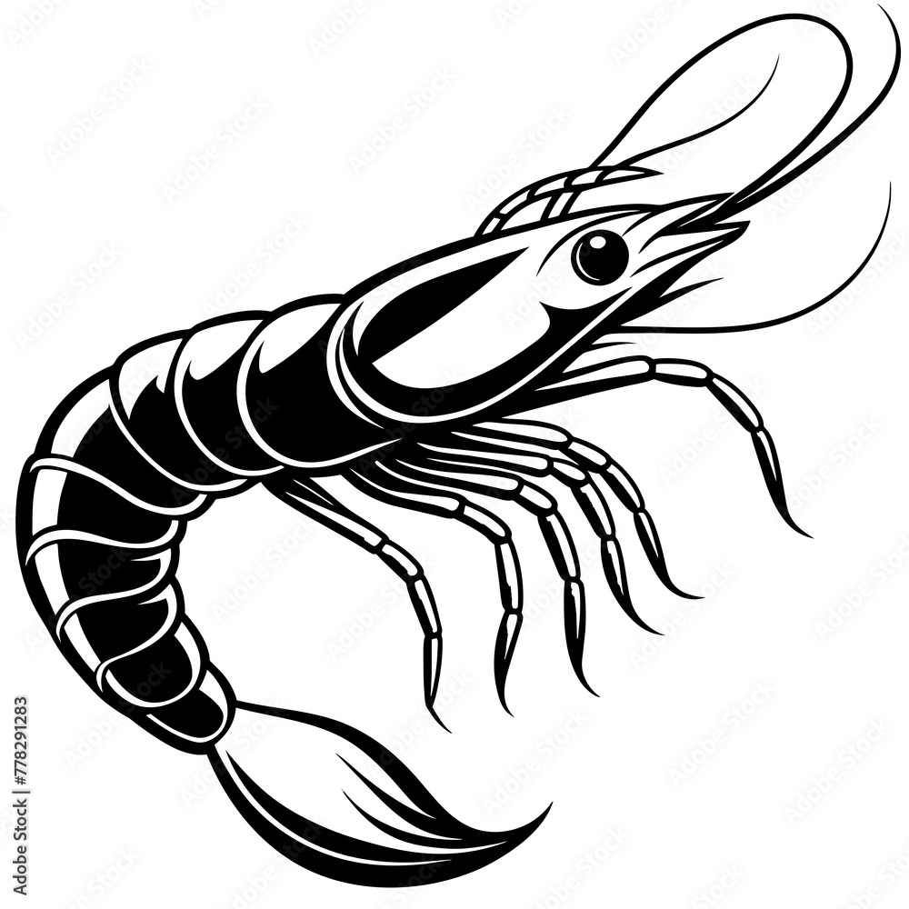 Shrimp vector illustration.
Shrimp vector illustration.