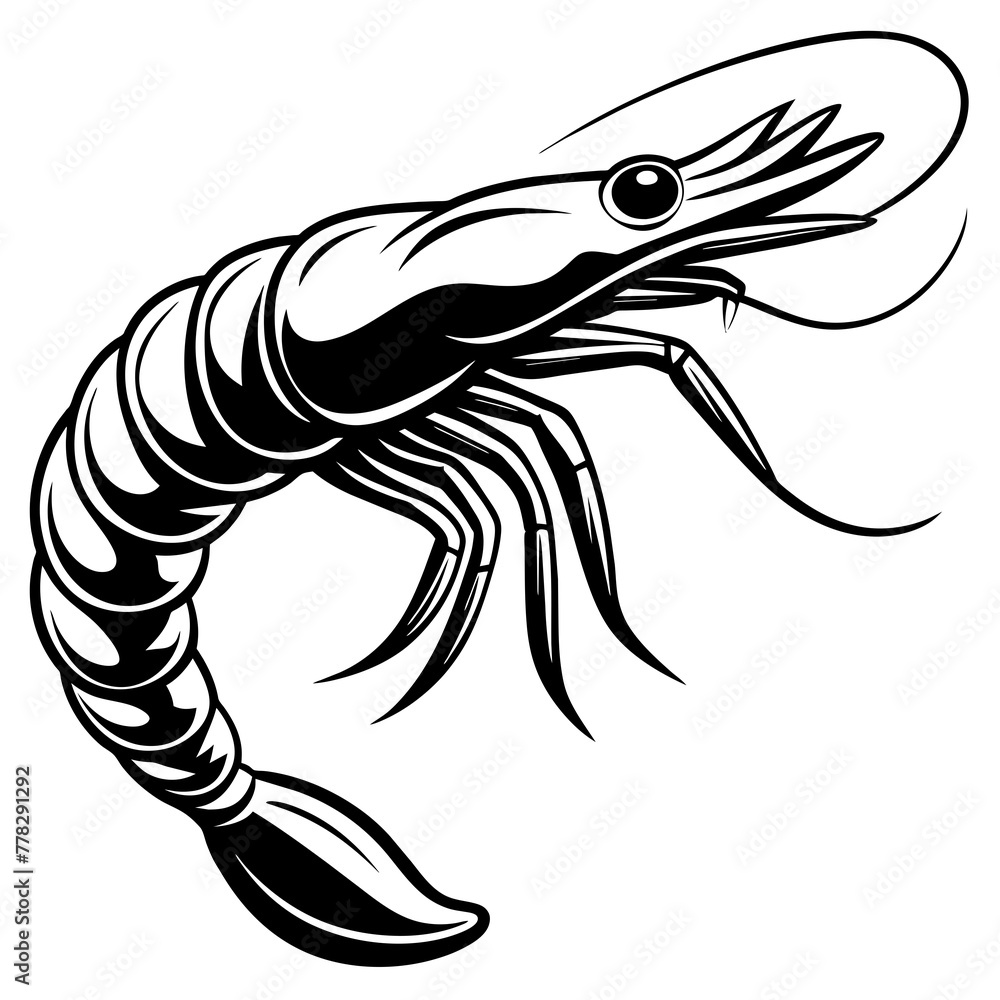 Shrimp vector illustration.
Shrimp vector illustration.