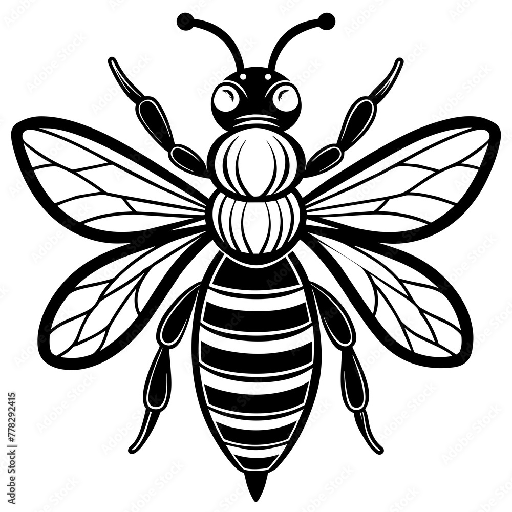 Asian giant hornet bee vector illustration.
Asian giant hornet bee vector illustration.