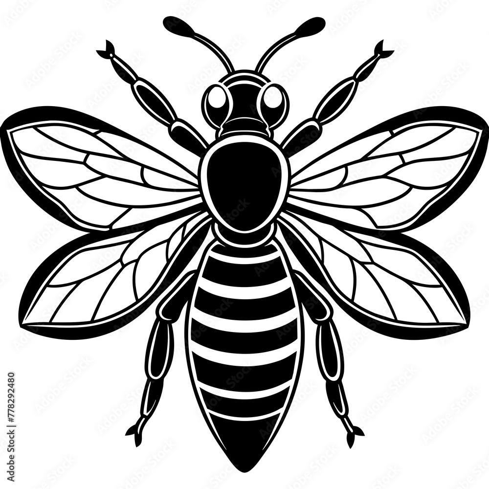Fototapeta premium Asian giant hornet bee vector illustration. 