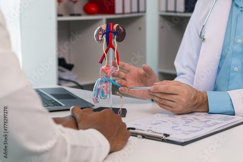 Doctors are counseling prostate cancer patients and using model of the penis to provide an example for prostate cancer patients about future symptoms and treatments. Prostate cancer treatment concepts