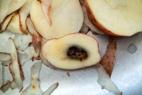 Rotten apples sliced lying in the sink