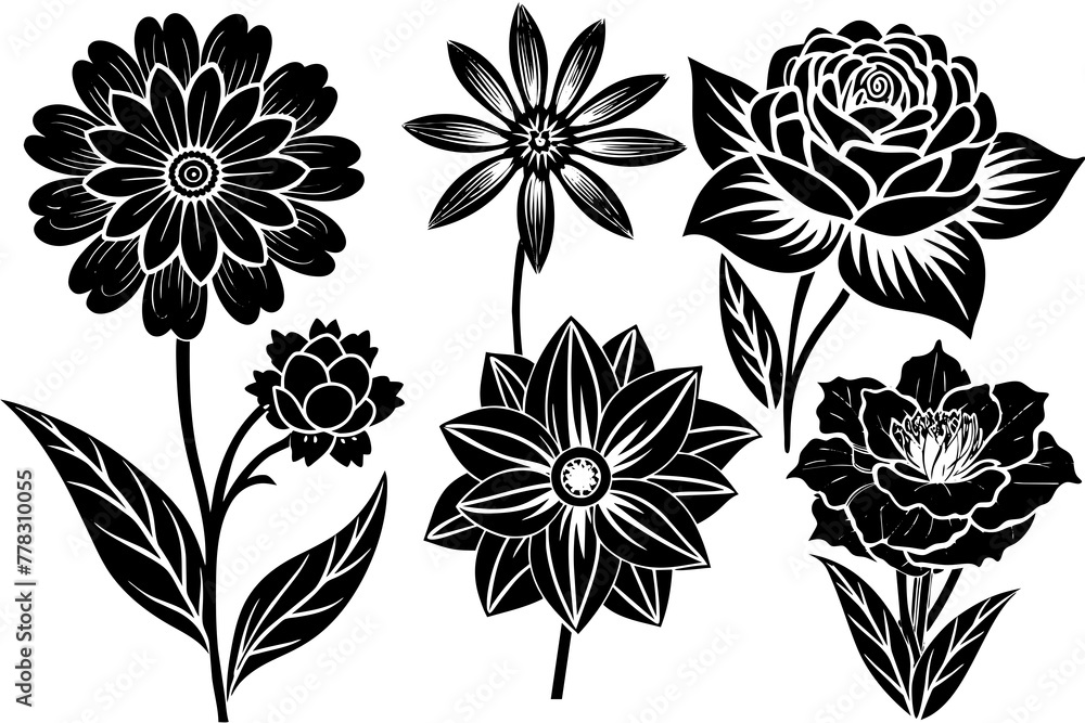 6-different-flowers--white-background