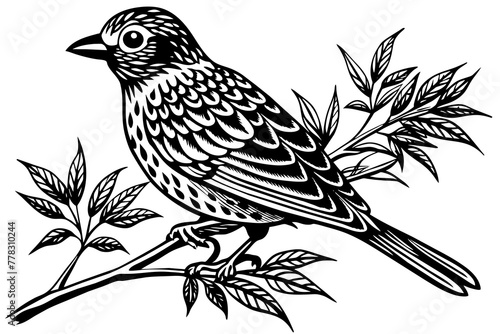  dove-sitting-on-tree-branch--vector-illustration © Jutish