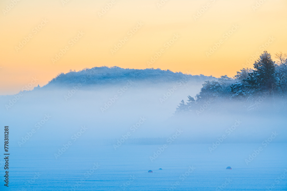 Fototapeta premium Foggy Frozen Lake Surrounded by Trees
