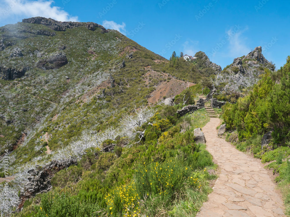 Tourist hikers walking at paved footpath, hiking trail PR1.2 from Achada do Teixeira to Pico Ruivo mountain, the highest peak in the Madeira, Portugal.